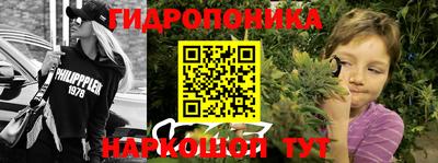 крисы Краснокаменск